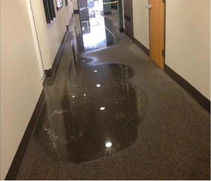 water pooling on carpet in corridor of school