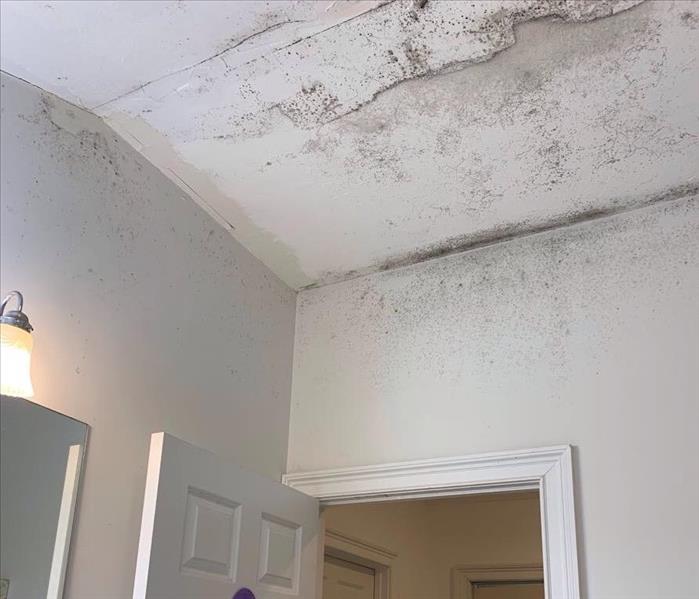 mold and water stains on white walls and ceiling, doorways