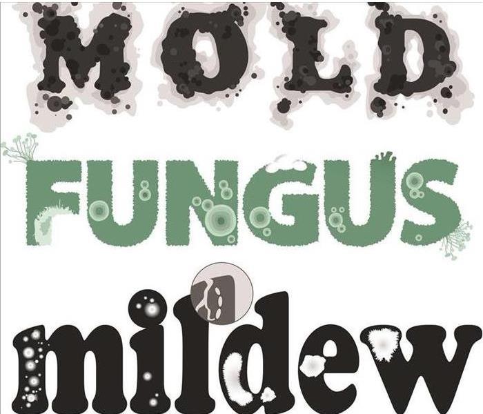 Illustration Mildew