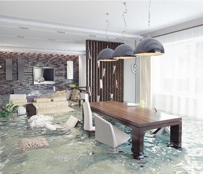 standing water in living room/ dining room