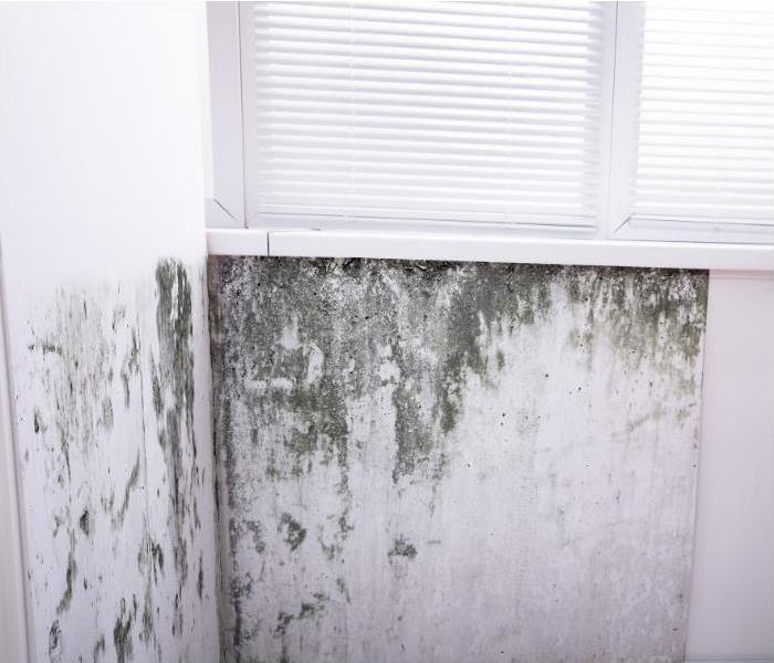 Mold damage under a window on a white wall